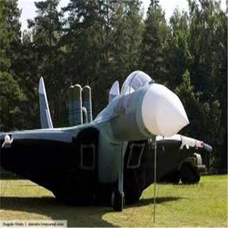 沙县充气模型飞机制造商家